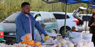 В Туркестане проходят ярмарки продуктов питания