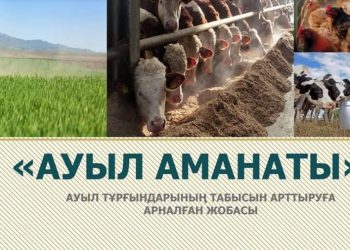 Арыста «Ауыл аманаты» жобасының игілігін көргендер саны артып келеді