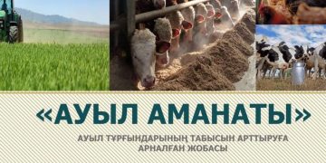 Арыста «Ауыл аманаты» жобасының игілігін көргендер саны артып келеді