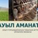 Арыста «Ауыл аманаты» жобасының игілігін көргендер саны артып келеді