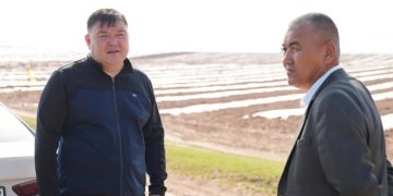 Шардара ауданында ауыл шаруашылығы саласында жаңа технологиялар қарқынды енгізіліп жатыр